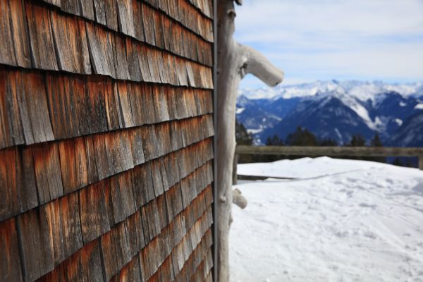 Cedar Siding Repair in San Francisco