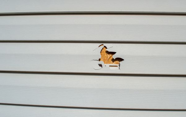 Siding Hole Repair in San Francisco