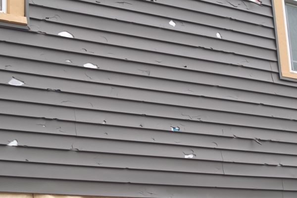 Damaged Siding Replacement in San Francisco