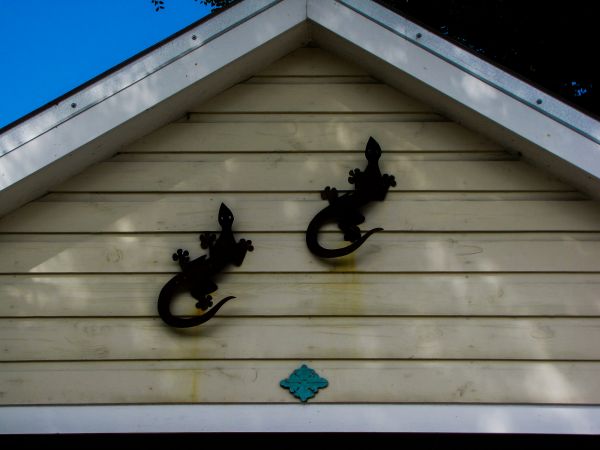 Shiplap Siding Installation in San Francisco